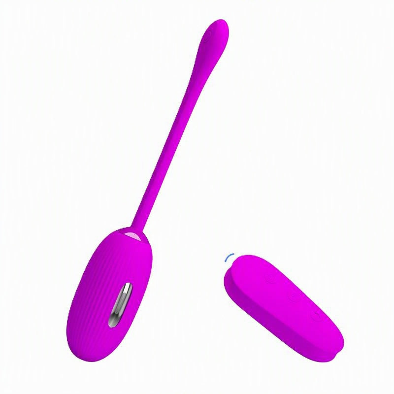 Juguetes con Control Remoto