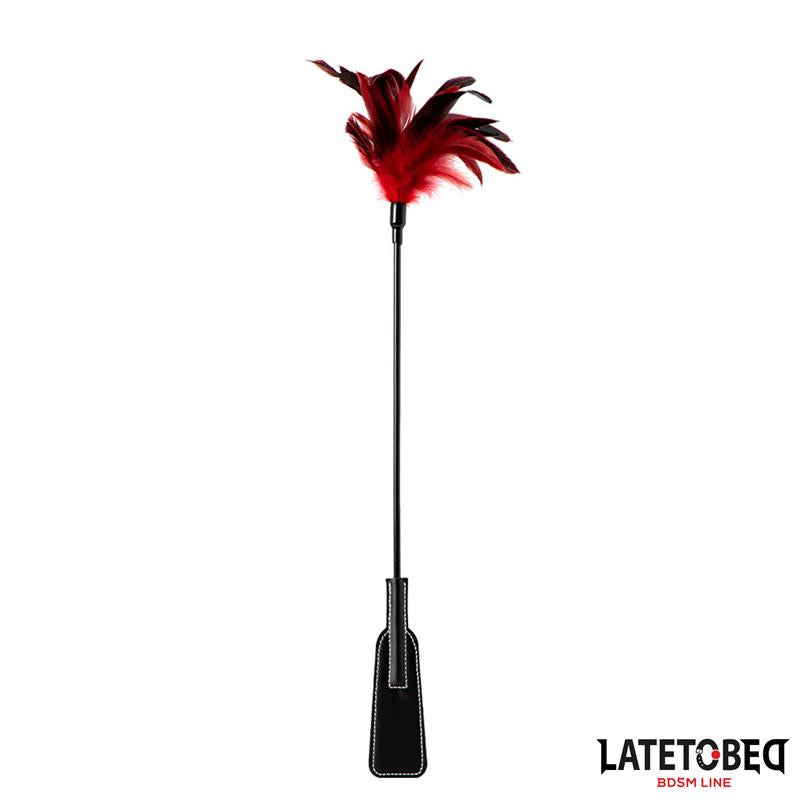 Pala con Plumas 2 en 1