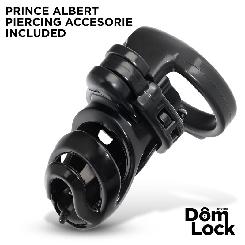 Detention Jaula para el Pene con Accesorio para Prince Albert